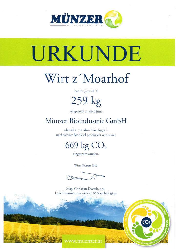 urkunde mnzer web